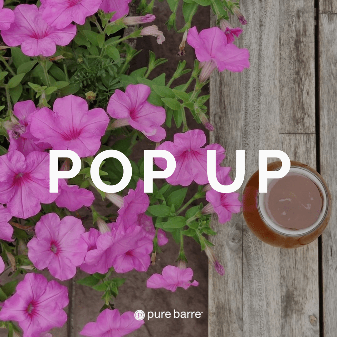Pop Up at the Worcester Beer Garden